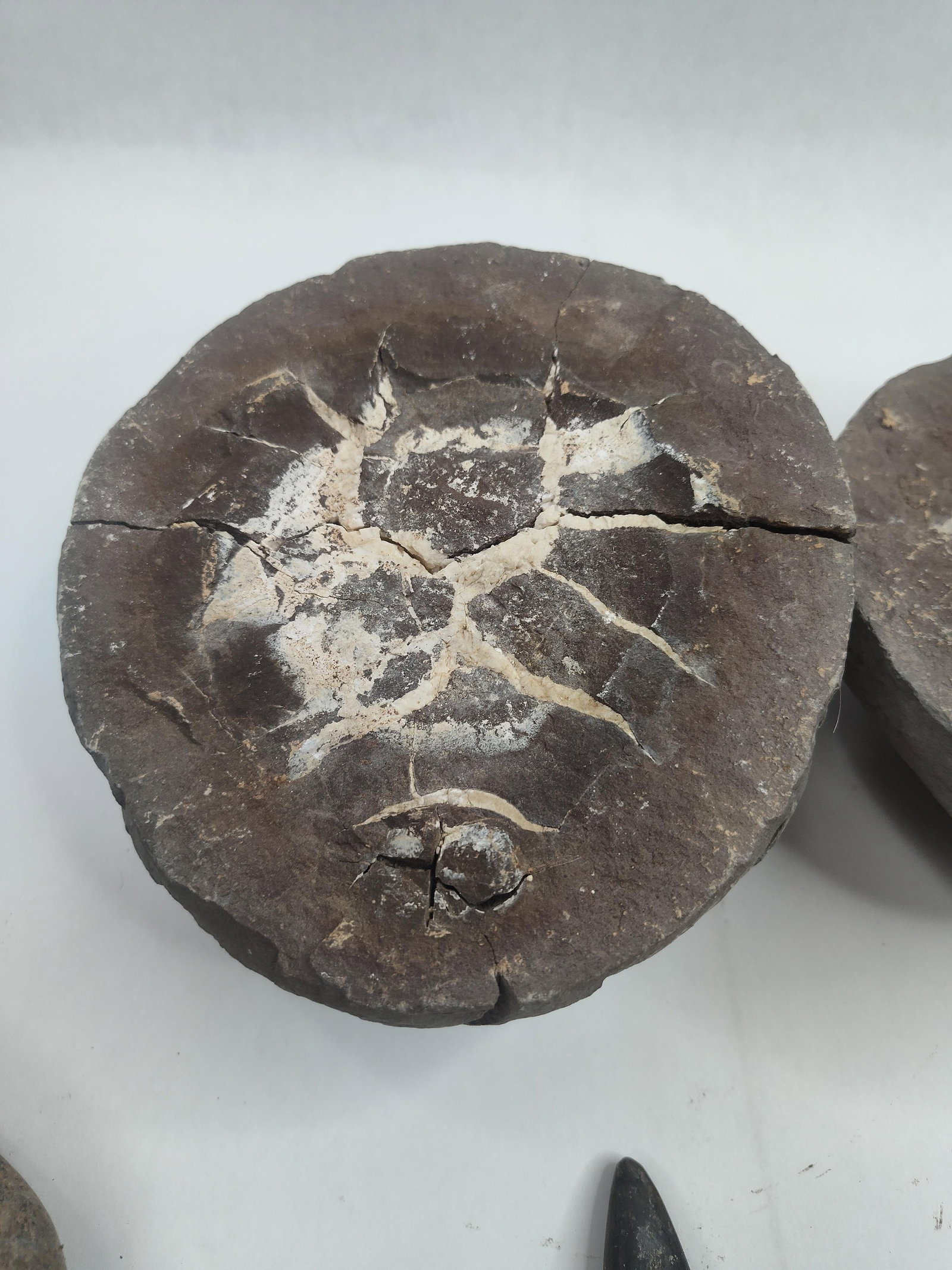 Geological Specimens & Stone Artifacts - 4