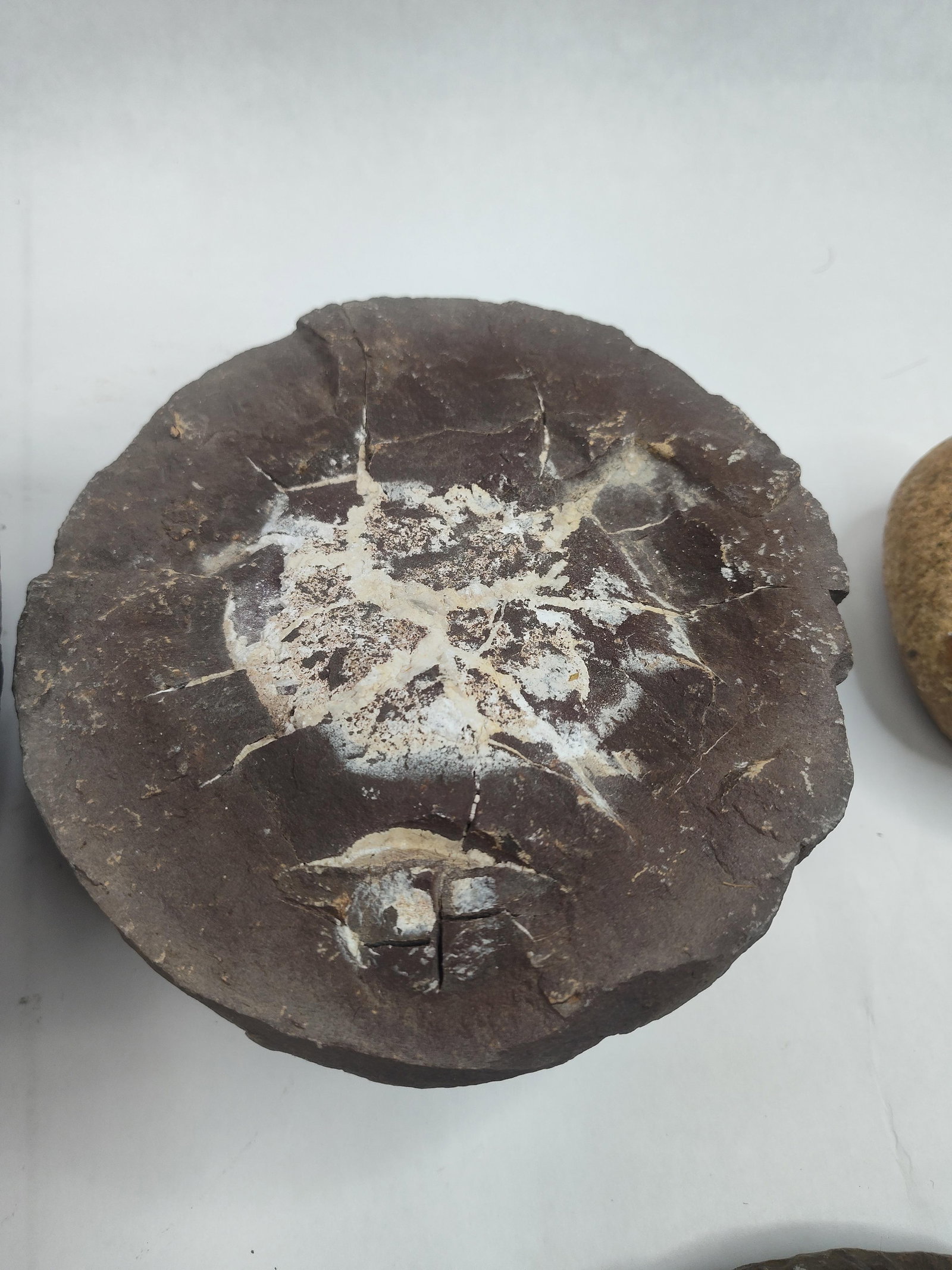 Geological Specimens & Stone Artifacts - 5