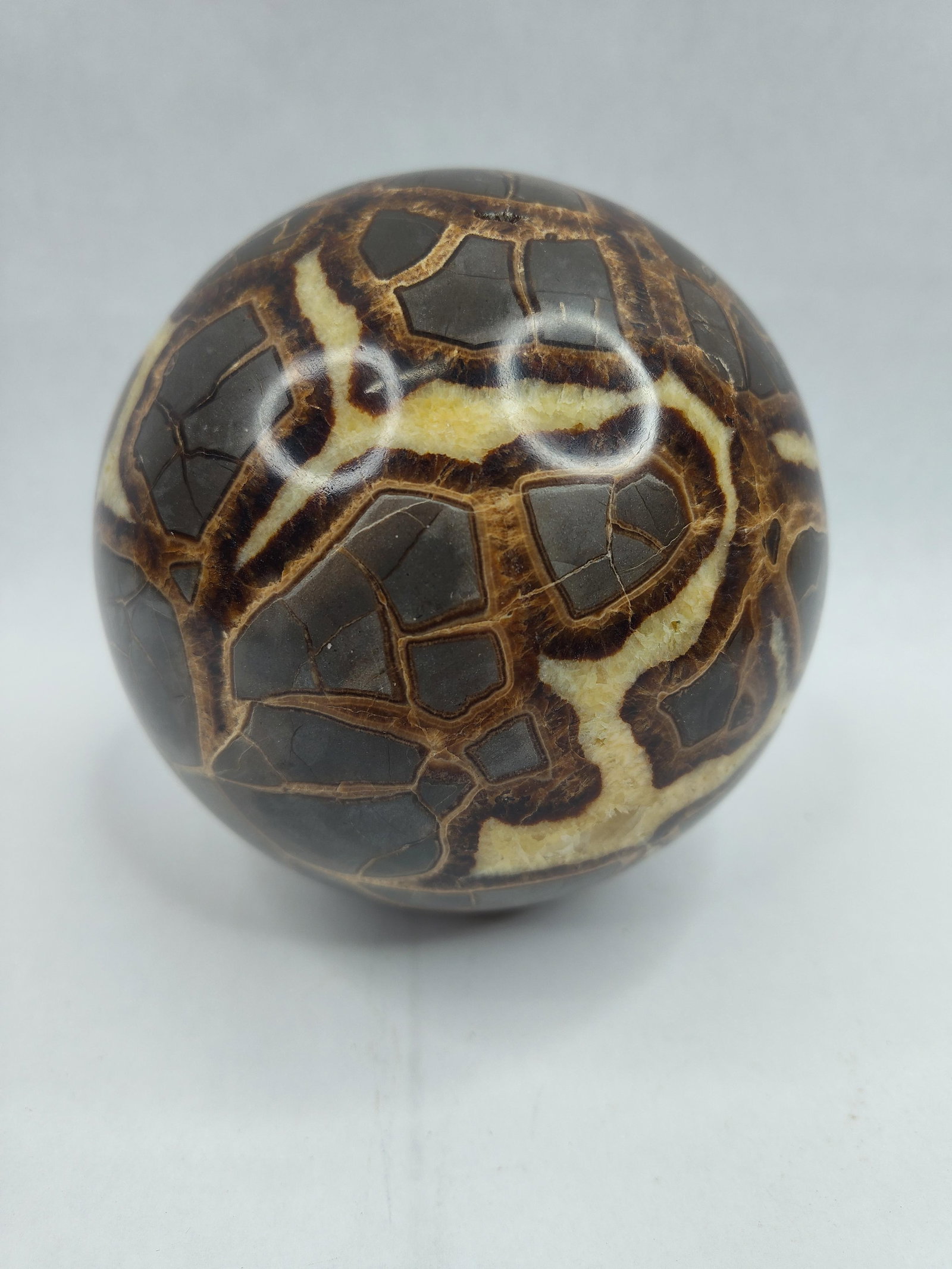 Polished Septarian Concretion Sphere (1 of 4)