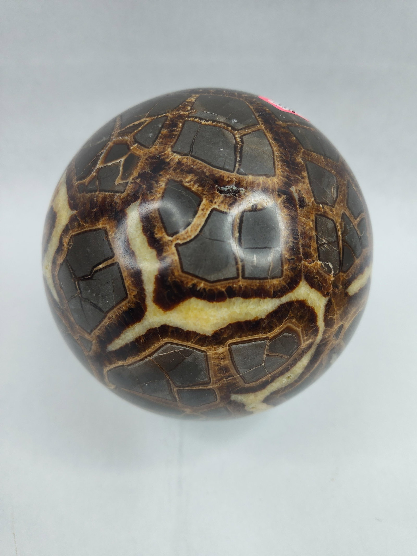 Polished Septarian Concretion Sphere - 2