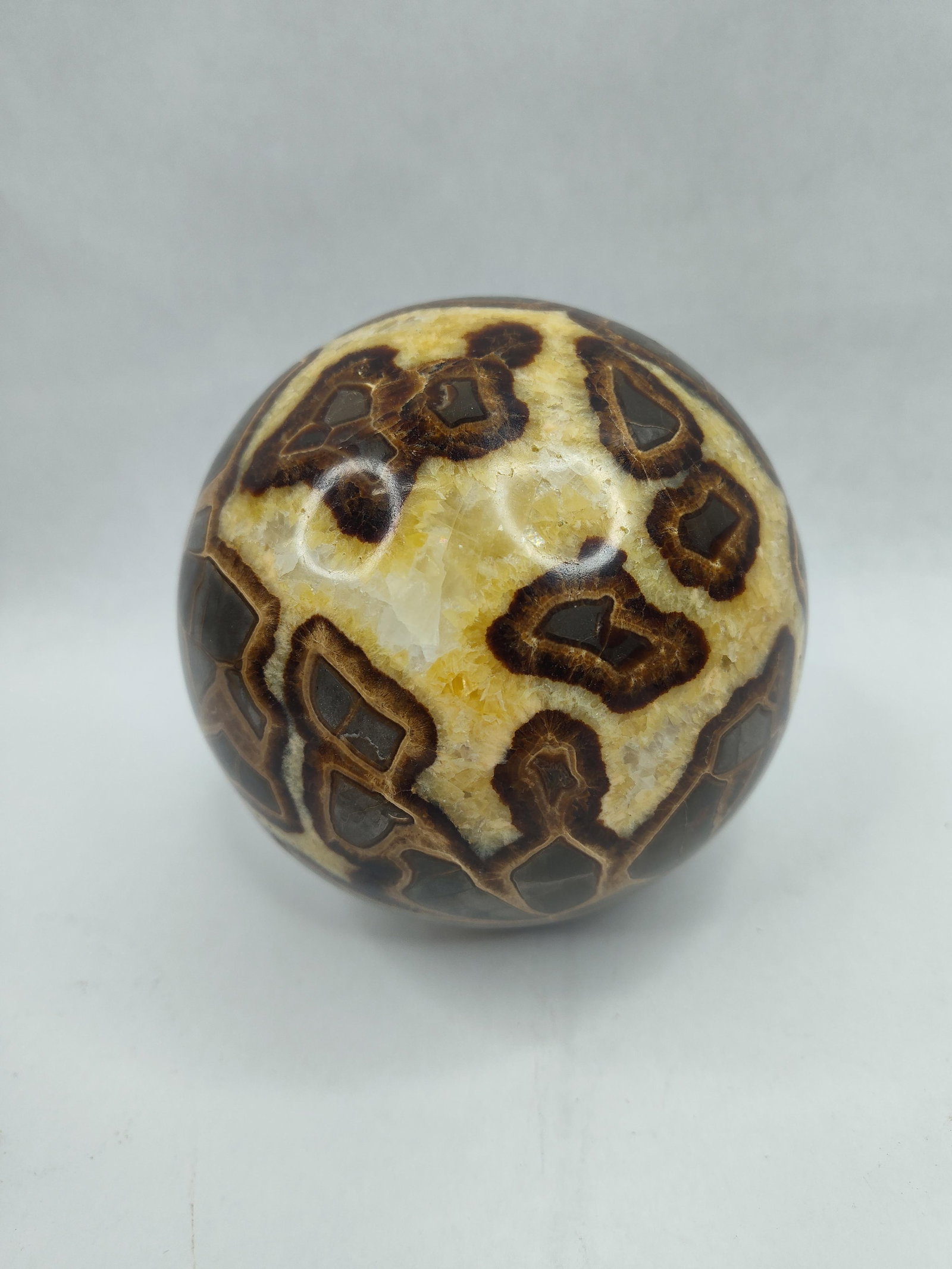 Polished Septarian Concretion Sphere - 4