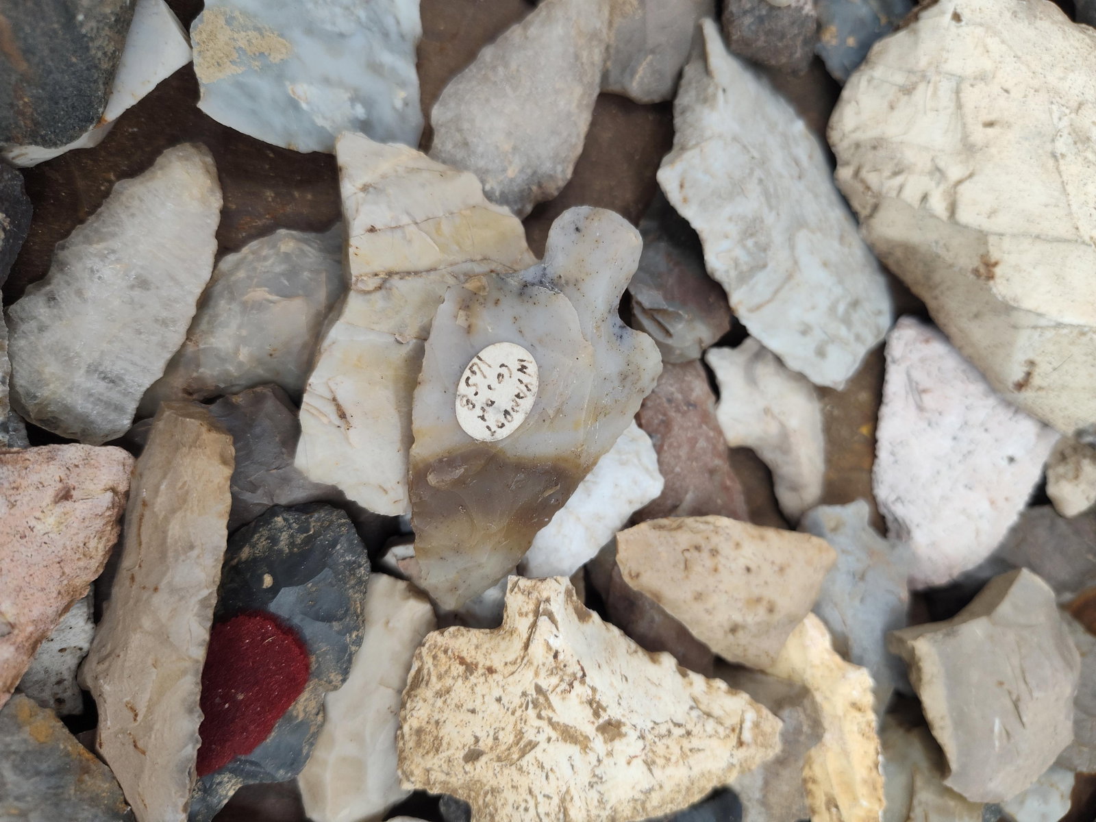 North American Lithic Projectile Points - 9