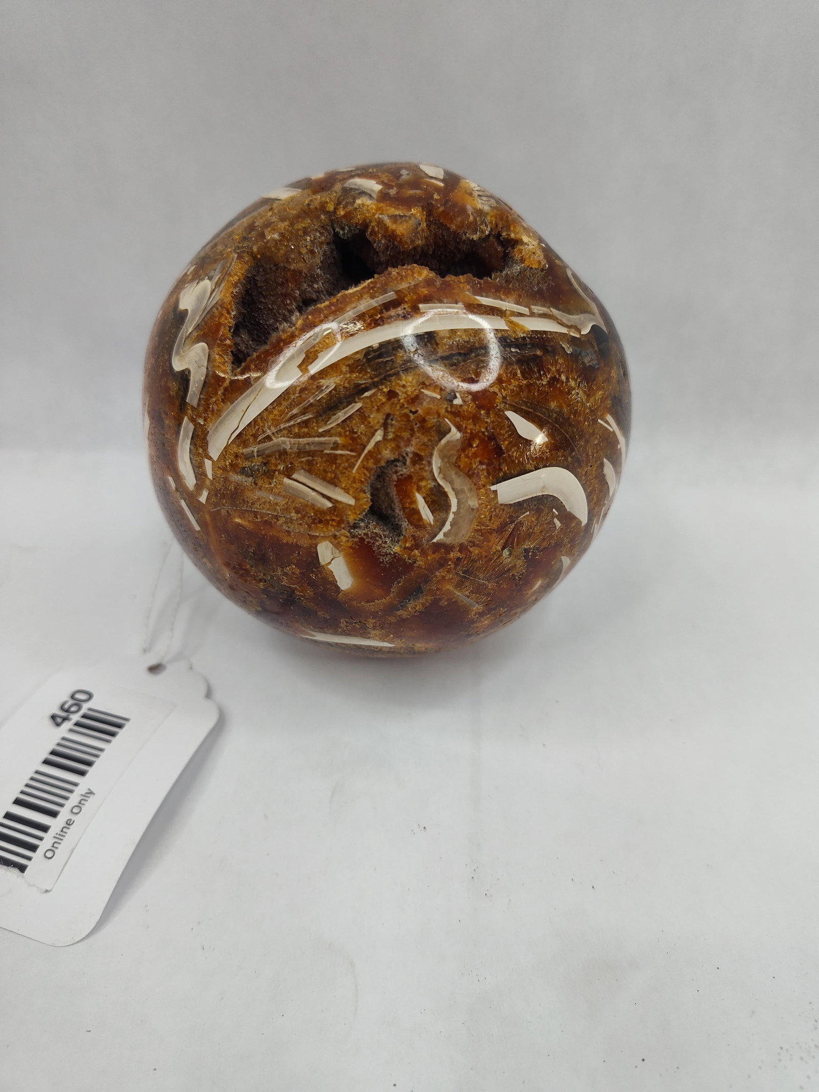 Septarian Geode Sphere w/ Fossils: A polished septarian geode sphere composed of a dark brown siderite and yellow calcite matrix. The surface is heavily embedded with white fossilized shell fragments, appearing as curved and linear