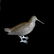 Lega Peltor Pot Metal Hummingbird - 2