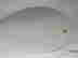 item-64476217=2