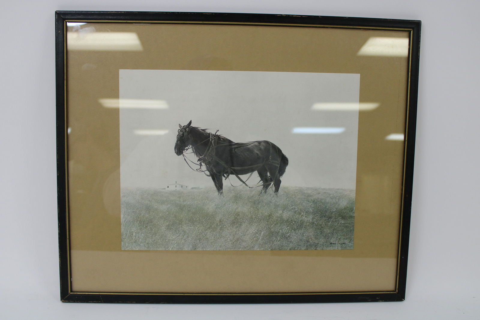 Andrew Wyeth Print Of Draft Horse.: Andrew Wyeth Print Of Draft Horse. Overall good condition with some foxing. Measures 21" x 17".