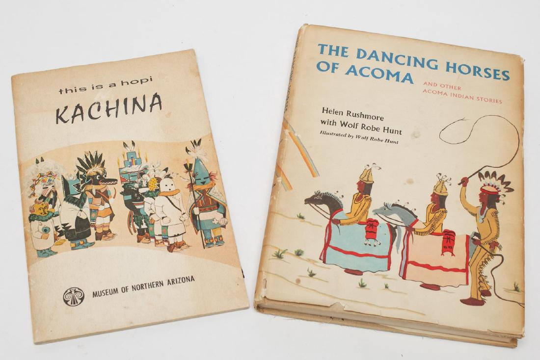 Wolf Robe Hunt & Helen Rushmore- 2 Books (1 of 2)