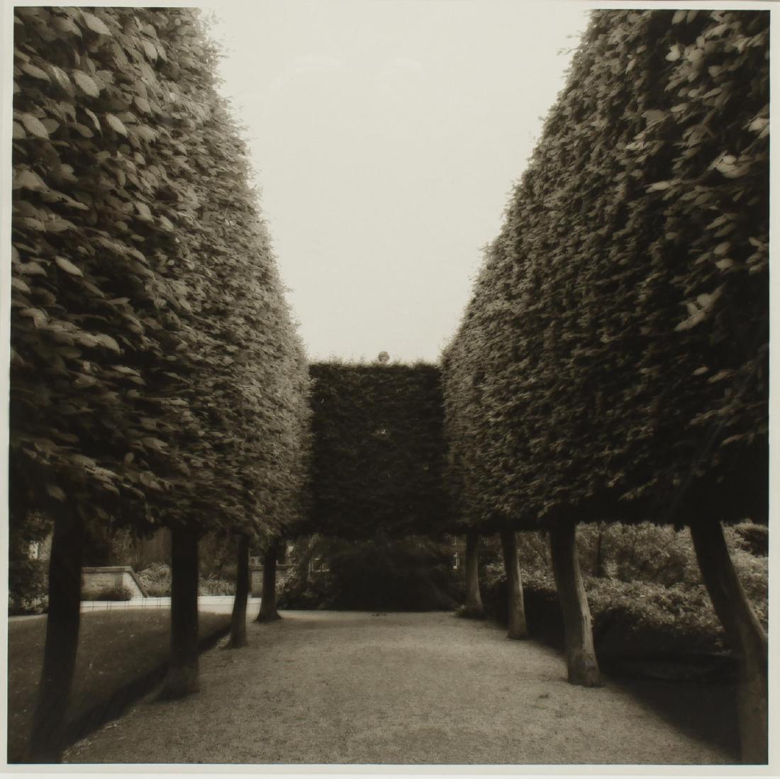 Lynn Geesaman (American, b. 1938)- Photograph (1 of 2)