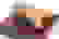 item-59008304=7