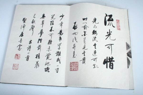 20th C Chinese Album Painting with Calligraphy - 4