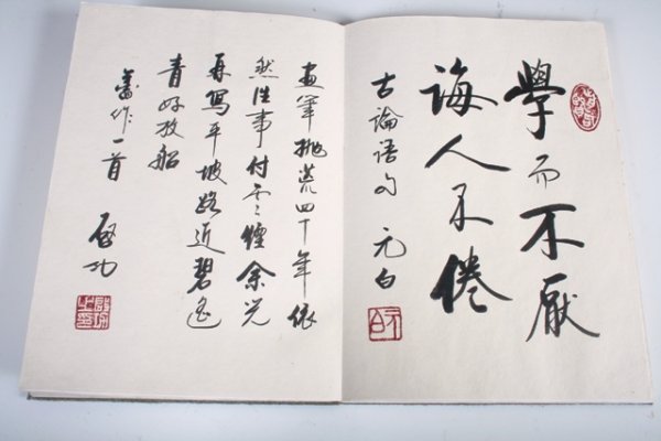 20th C Chinese Album Painting with Calligraphy - 7
