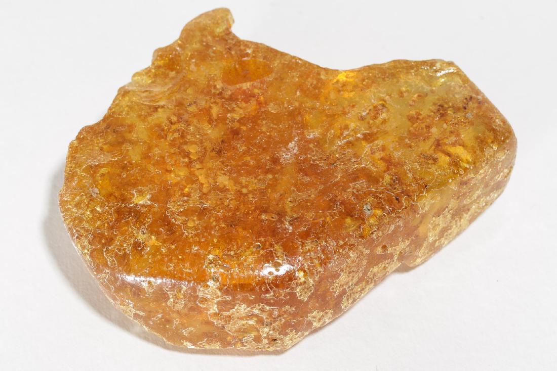 Amber Specimen, Large Porous Nugget, 4.75" L (1 of 5)