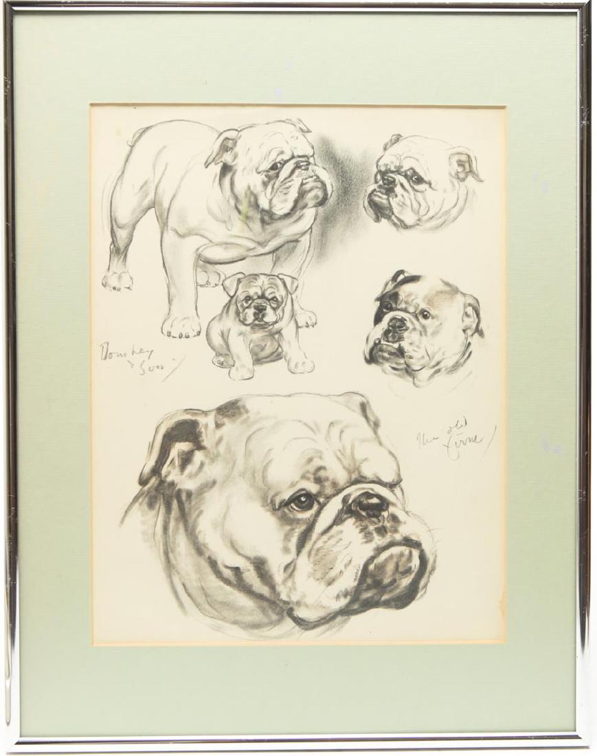 Study of a Bulldog, Dog Portrait Sketches, Print (1 of 4)