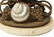 French Nautilus Shell & Ormolu Mechanical Holder - 9