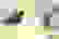 item-65252735=3