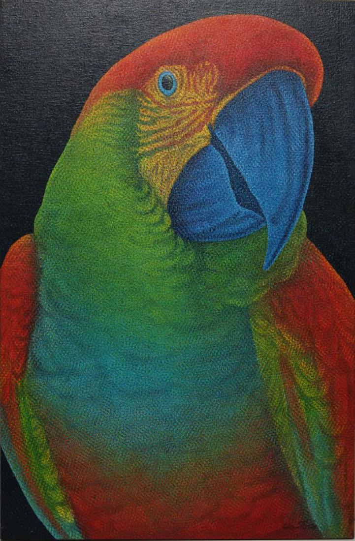 Signed Illegibly Acrylic on Board Parrot Portrait (1 of 3)