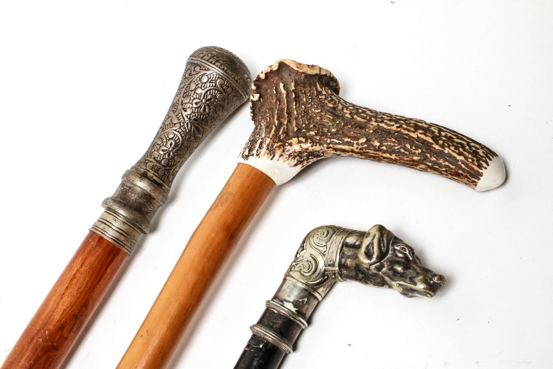 Dog Head, Antler & Another Walking Stick Canes 3 (1 of 10)