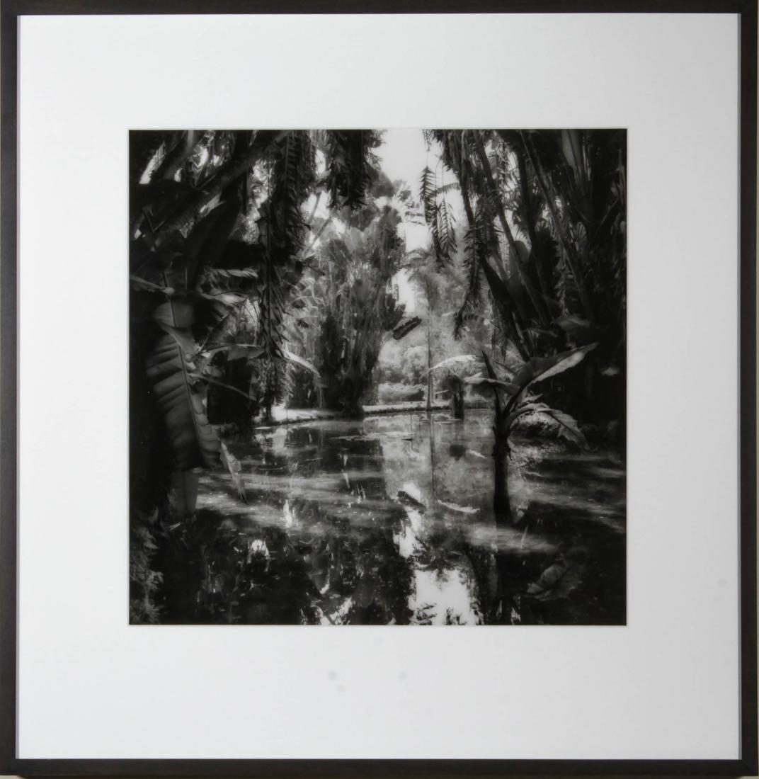 Sally Gall Marsh Gelatin Silver Print Photograph: Sally Gall (American, b. 1956) Marsh, gelatin silver print, black and white photograph, signed and titled on reverse "Rio, Botanical Garden #1." Image: 14.75" x 14.75" W; frame: 23.25" H x 22.5" W x 1