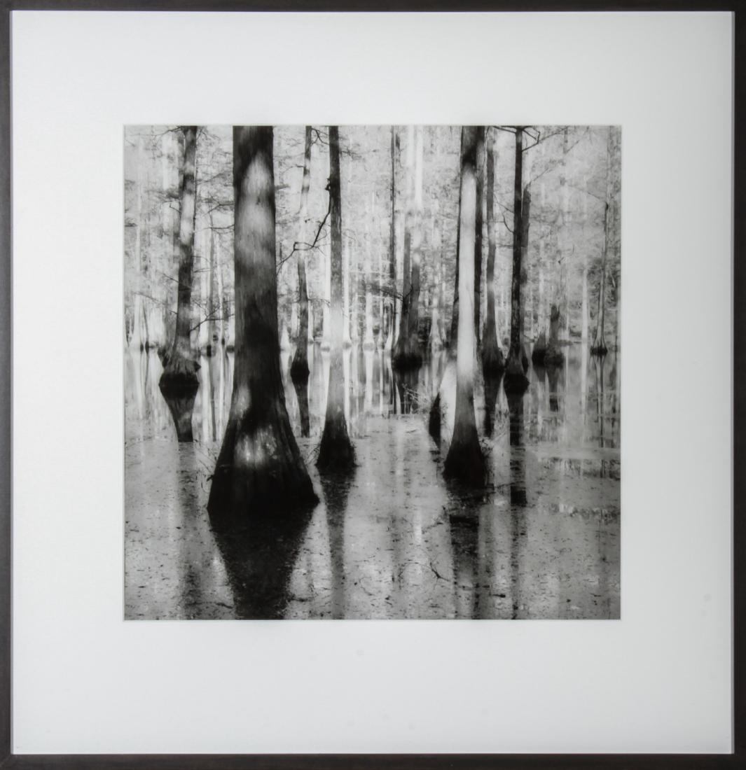 Sally Gall "Bayou" Gelatin Silver Print Photograph: Sally Gall (American, b. 1956) "Bayou," gelatin silver print, black and white photograph, 1992, reverse signed and titled. Image: 14.75" x 14.75" W; frame: 23.25" H x 22.5" W x 1.5" D. From the Collec