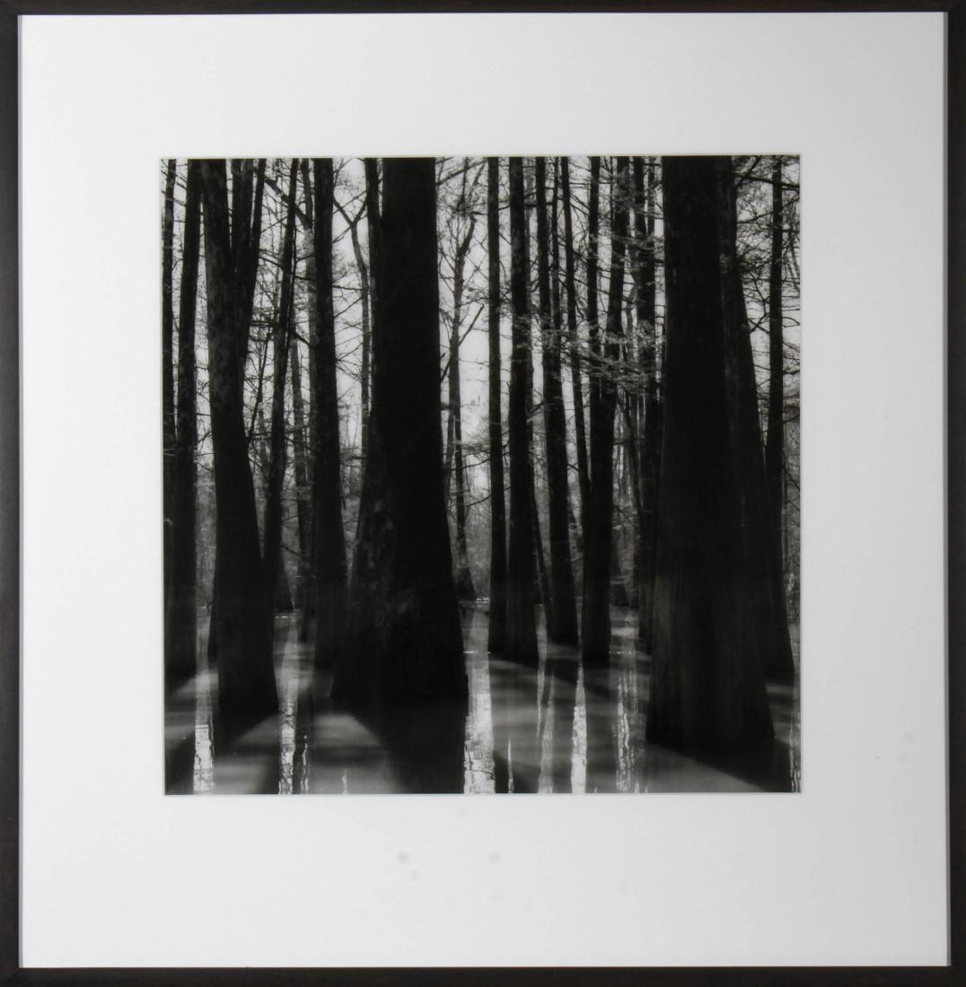 Sally Gall Atchafalaya Gelatin Silver Print Photo: Sally Gall (American, b. 1956) "Atchafalaya," gelatin silver print, black and white photograph, 1986, signed and titled on reverse. Image: 14.75" x 14.75" W; frame: 23.25" H x 22.5" W x 1.5" D. From t