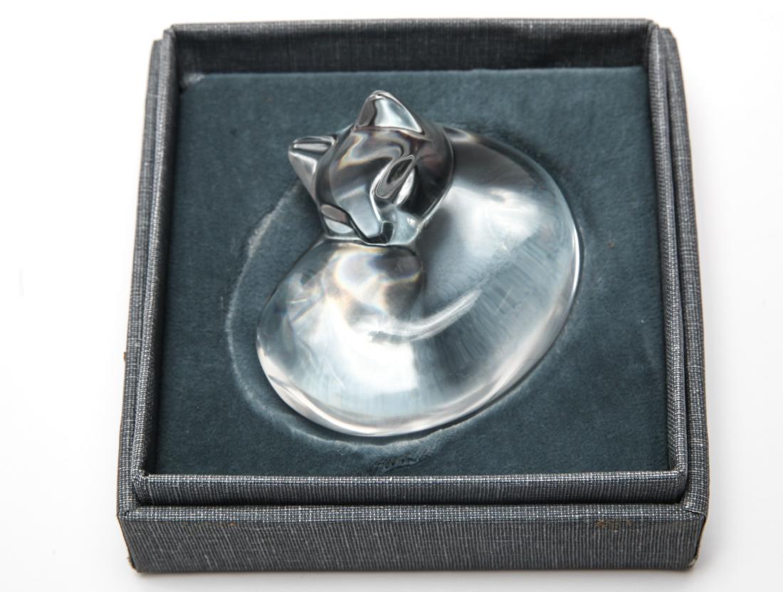Steuben Colorless Glass "Sleeping Cat" Paperweight: Steuben colorless glass "Sleeping Cat" paperweight, signed underside, in original storage box. 1.5" H x 2.5" L.