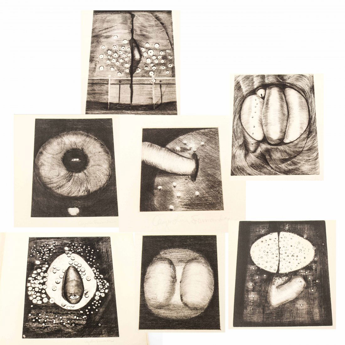 Agustin Fernandez "Le Mille Pattes" Drypoints 7: Agustin Fernandez (Cuban 1928-2006) "Le Mille Pattes," portfolio of seven drypoint etchings on buff paper, 1965, title page, "Agustin Fernandez / 7 pointes sèches / Le Mille Pattes / Yvon Taillandier