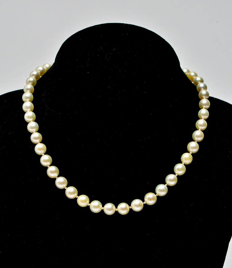 18K Yellow Gold Clasp & Pearls Choker / Necklace: 18K yellow gold clasp and pearls choker / necklace. 16" L. Pearls: approx 7.75mm diameter. Gold tested; not weighable.
