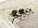 Bronze Karen Burmese Frog Rain Drum - 7