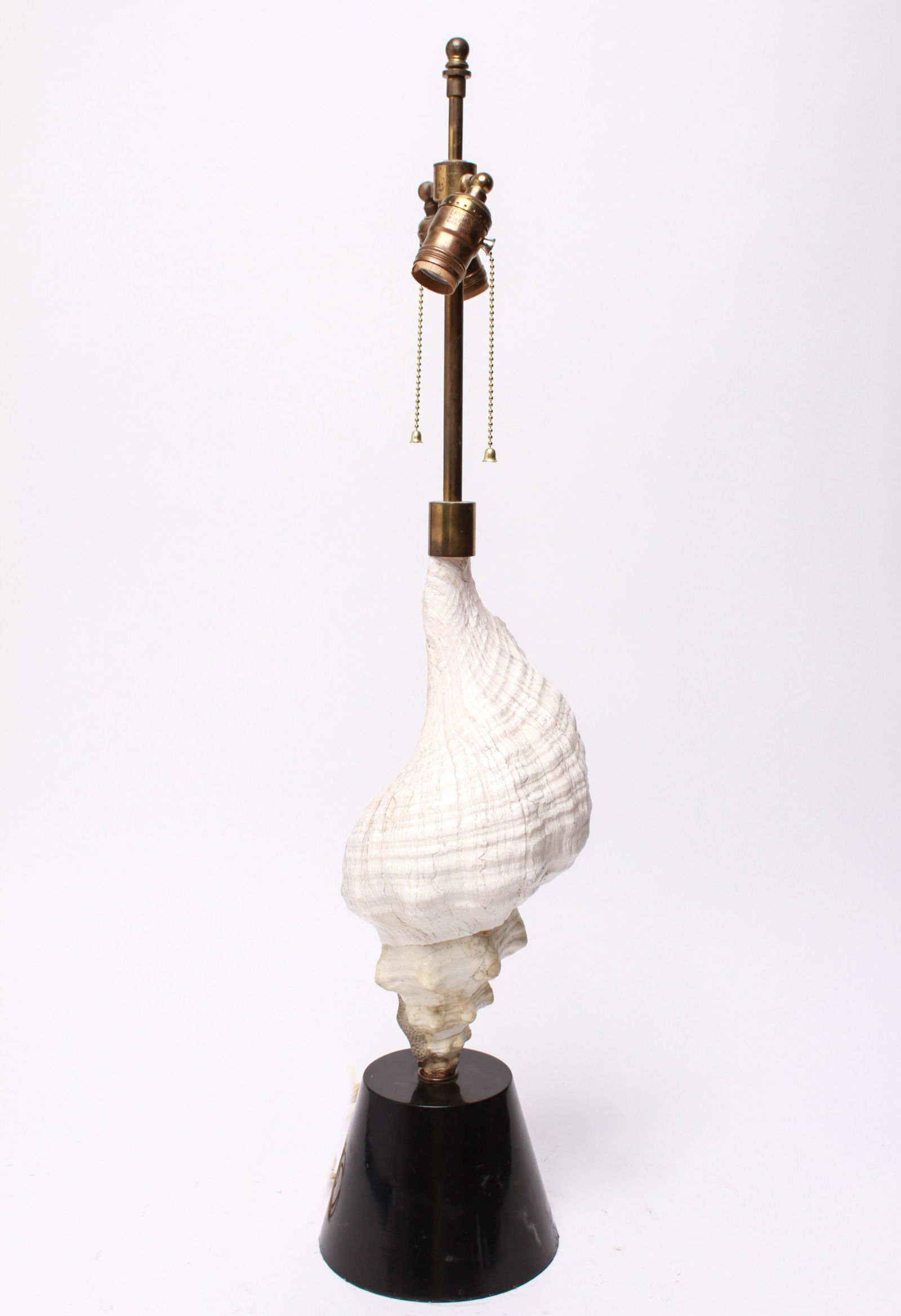 Conch Seashell Modern Table Lamp (1 of 5)