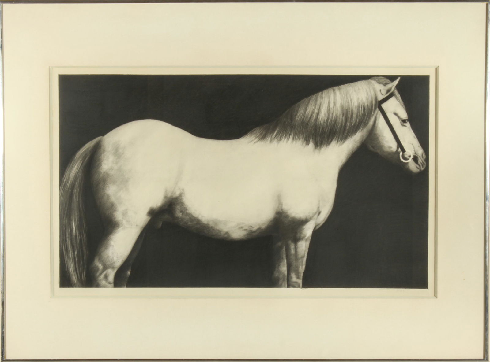 Joseph Piccillo Horse Study Pencil & Charcoal (1 of 6)