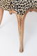 Art Deco w Leopard-Print Carved Wood Chairs, Pair - 2