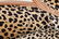 Art Deco w Leopard-Print Carved Wood Chairs, Pair - 5