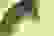 item-77434199=3