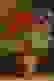 item-78031494=2