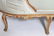 French Louis XV Manner Chaise Lounge - 2