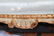 French Louis XV Manner Chaise Lounge - 4