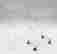 item-79151733=2
