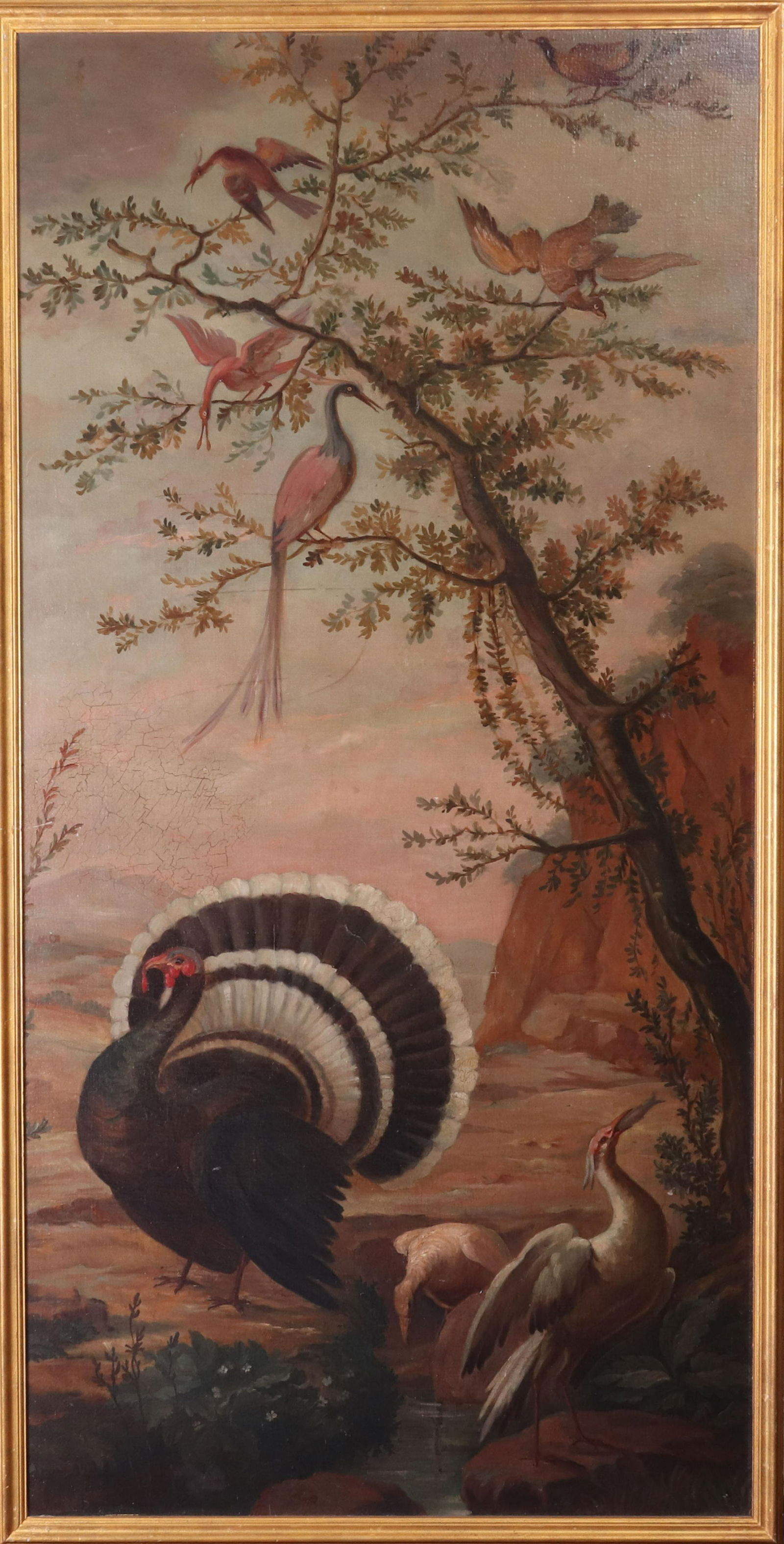 19th Century Exotic Birds Oil on Canvas Wall Panel (1 of 7)
