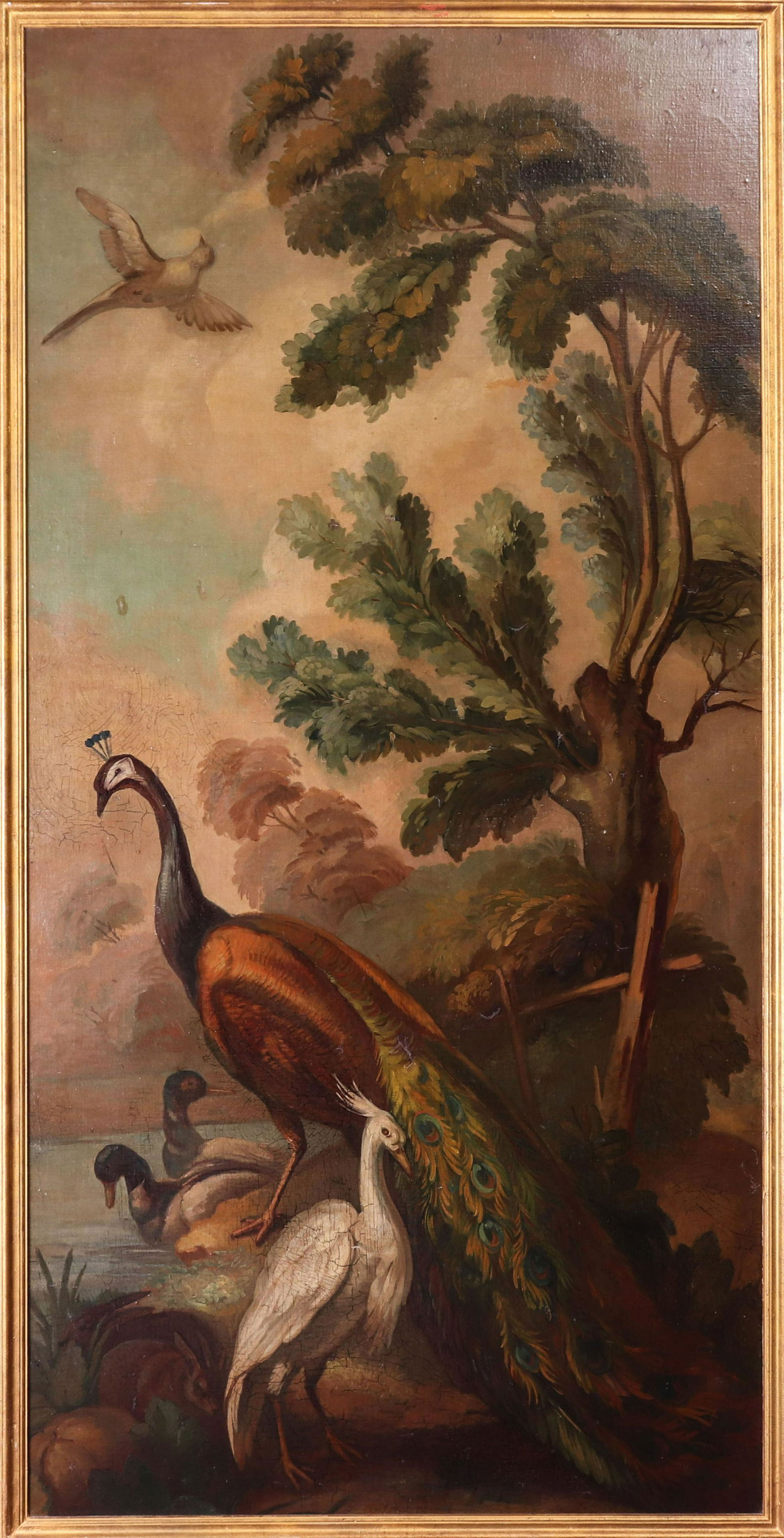 19th Century Exotic Birds Oil on Canvas Wall Panel (1 of 5)