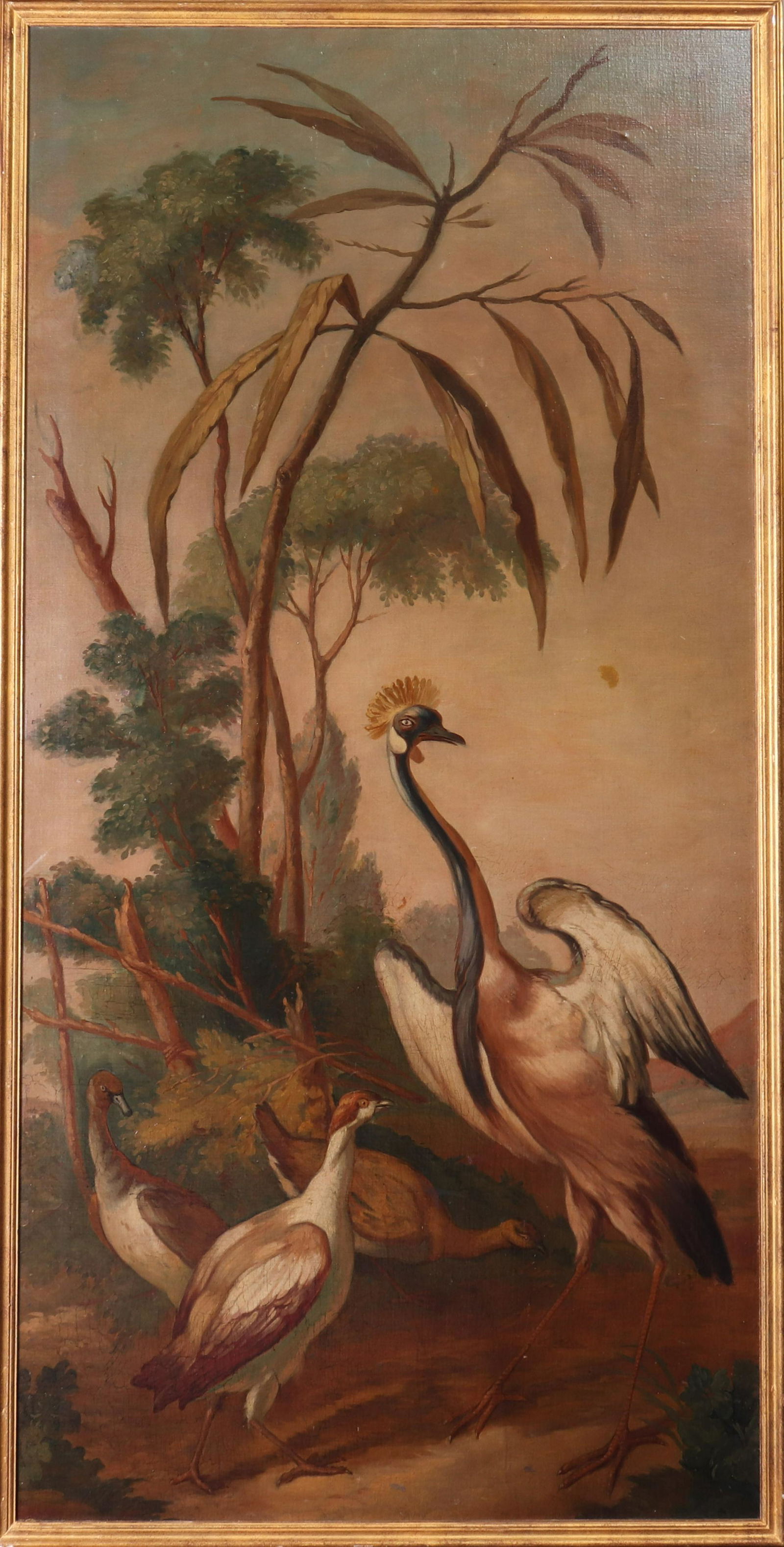 19th Century Exotic Birds Oil on Canvas Wall Panel (1 of 5)