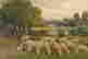 item-80417367=2
