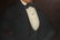 American School Portrait of a Gentleman, Oil - 4