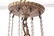 Neoclassical Manner Brass 8-Arm Chandelier - 6