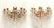 Continental Gilt Brass & Glass Sconces, Pair