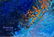 Jean Sampson "Scattering Stars" Oil On Canvas - 4