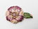 Jay Strongwater Enamel & Rhinestones Pocket Mirror - 2