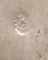 Silver Salt, Two Shakers & Crumber, Group of 4 - 7