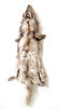 Silver Fox Taxidermy Fur Pelt /Stole - 6