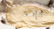 Silver Fox Taxidermy Fur Pelt /Stole - 7