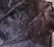 Black Dyed Leopard Skin Rug 6' 5" x 5' 2" - 2